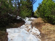 Al Laghetto di Pietra Quadra dalla conca di Mezzeno il 20 aprile 2026 - FOTOGALLERY